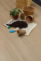 Каменный SPC ламинат Steinholz Element Баум STH069E